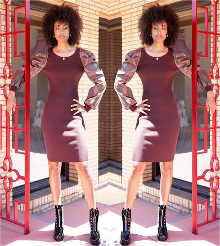 Choco Faux Leather Sleeve Dress