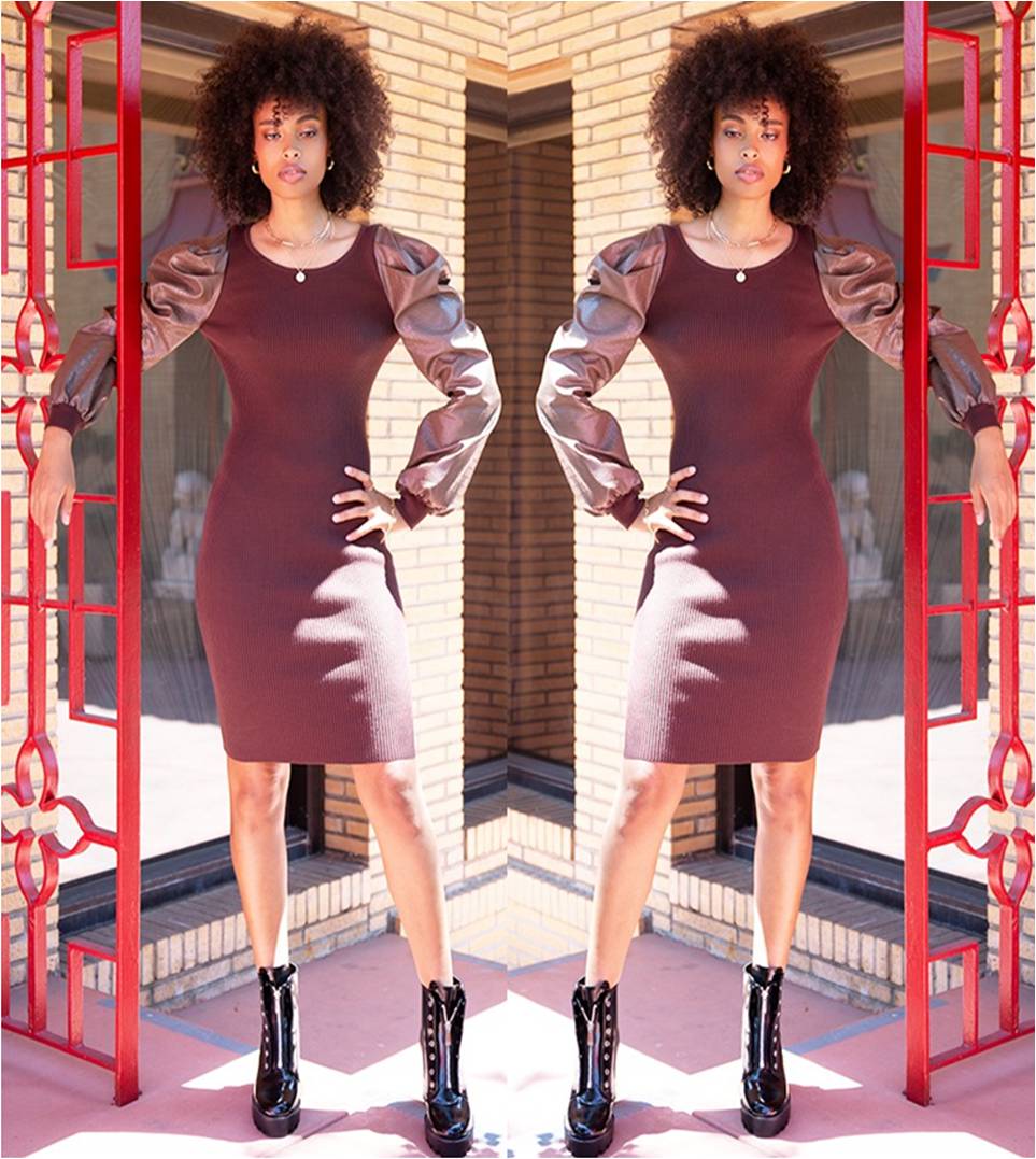 Choco Faux Leather Sleeve Dress