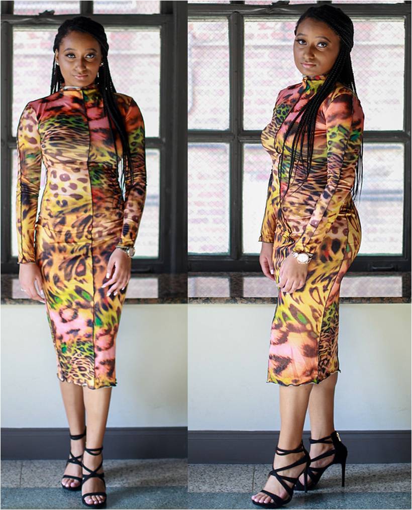 Colorful Leopard Print Dress